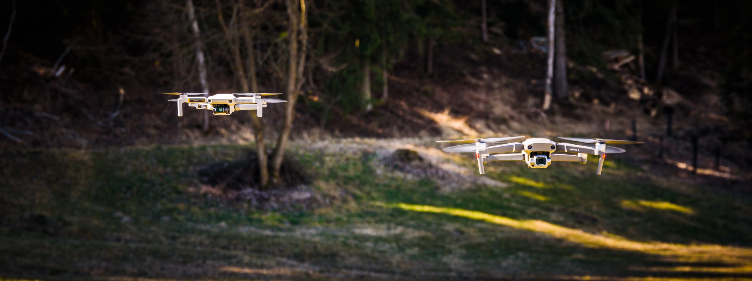 The DJI Mavic Mini and Mavic 2 Pro drones flying together at a park in Austria. This raises the question as to what a legacy drone is and how long the transitional period is.